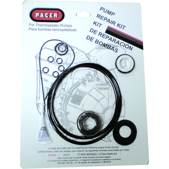 PACER PUMPS, DIV. OF ASM IND P-58-0074 Pump Seal Kit Without Rings