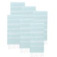 thumbnail image 1 of PADISHAHHOME Turkish Beach Towels, Pack of 6 | Oversized, Quick Dry, Sand Free | 100% Cotton, Large 38x71" Towels for Beach, Pool, Travel | Ultra-Soft, Compact, and Absorbent | Aquamarine, 1 of 9