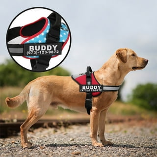 Dog vest with velcro hotsell