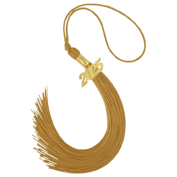 PALIFEUR 2025 Graduation Tassel, 1Pcs Graduation Cap Tassel 2025 Grad Graduation Tassel for 2025 Graduation Ceremonies Accessories, Graduation Party Favors Supplies