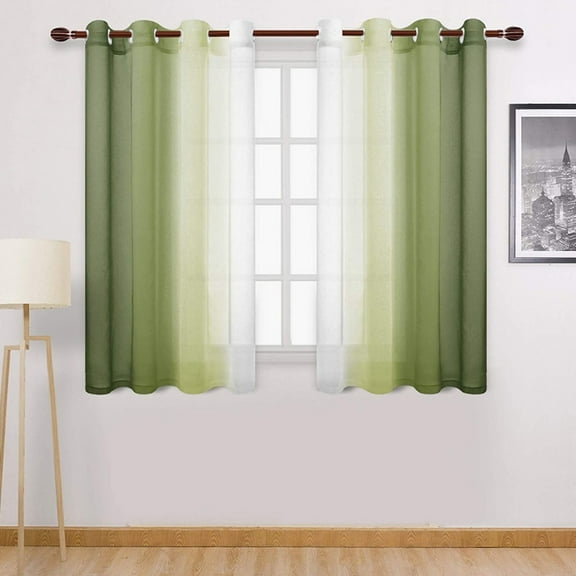PALIFEUR Gradient Sheer Curtains, 63 x 51 Inch Soft Transparent Window Curtains for Living Room Bedroom, Rod Pocket Voile Curtain & Drapes