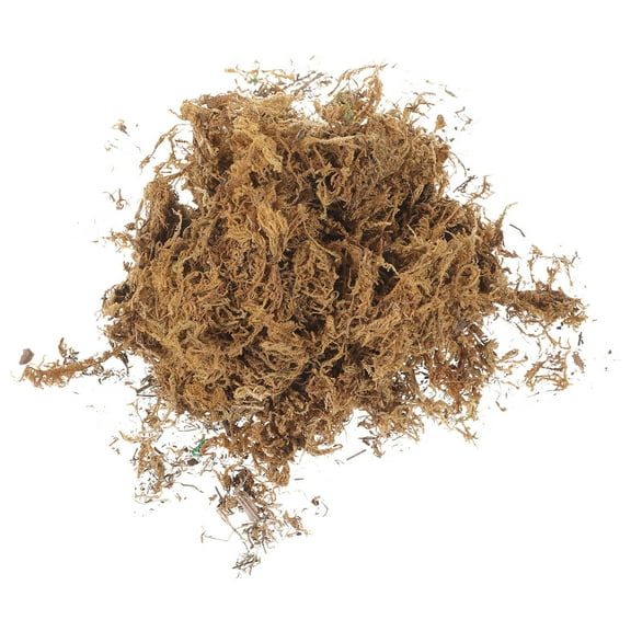 PAMINGONO 1 Pack Miniature Brown Plastic Artificial Moss Plant for DIY Projects Garden Moss