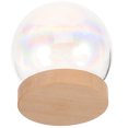 thumbnail image 1 of PAMINGONO 1 Set Glass Dome With Wood Base For Creative Glass Cover Decor In Dome Shape, 1 of 8