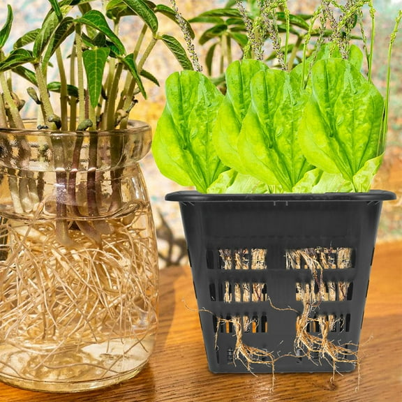 PAMINGONO 10Pcs Hydroponic Net Pots Plastic Black Abs for Plants Home Planting 5.5x5.5x4.3in