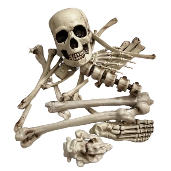 PAMINGONO 19-Piece Party Decoration Set with Realistic Fake Bones for Spooky Home and Event Decor