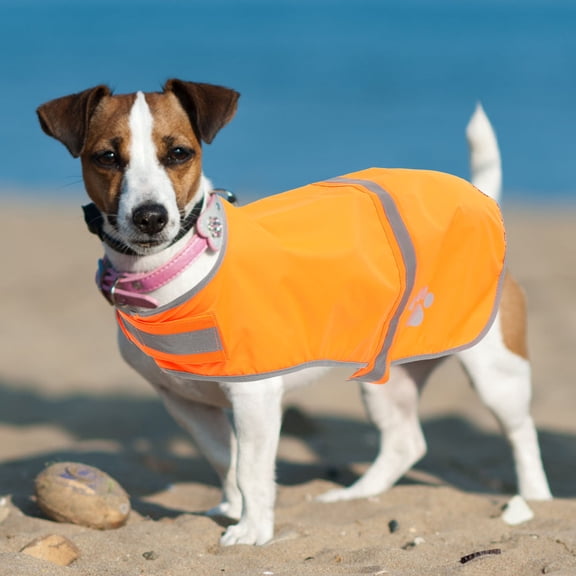 PAMINGONO 1Pack Puppy Vest Dog Reflective Gear Fluorescent Pet Vest for Travel