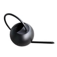thumbnail image 1 of PAMINGONO 1Pcs Black Watering Kettle Circular Inlet Long Spout for Precise Watering Indoor Plants Watering Can, 1 of 8
