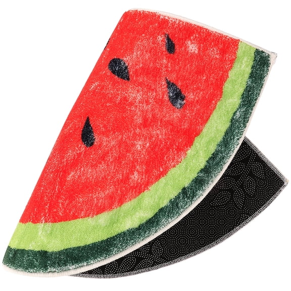 PAMINGONO 1Pcs Mat Polyester Anti-skid for Front Door Back Door Pet Entry Laundry Room Indoor Use