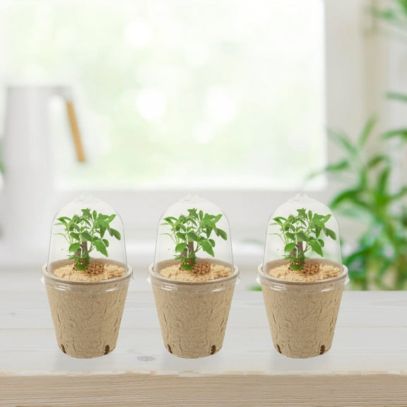 PAMINGONO 20Pcs Plant Nursery Pots Paper Pulp For Indoor Gardening 3.14X3.14X3.14in