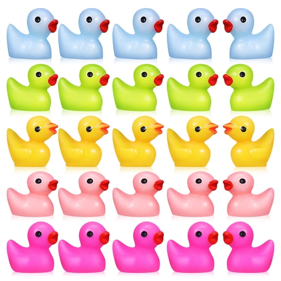 PAMINGONO 25Pcs Mini Ducks Bulk Resin Statue for Moss Landscape Decor and Decorative Purposes