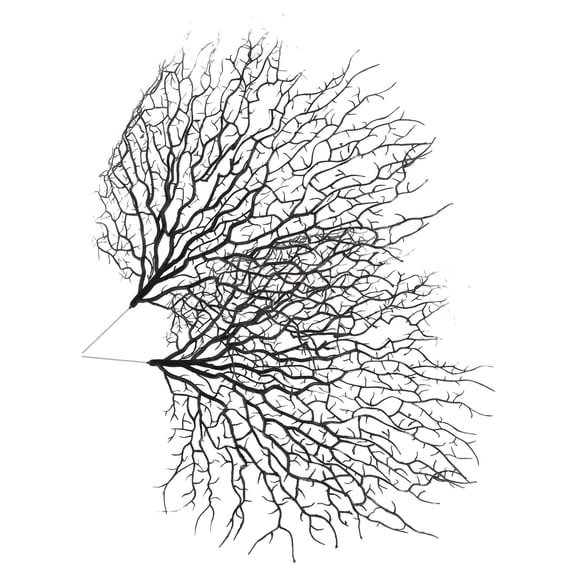 PAMINGONO 2Pcs Artificial Tree Branches Brown 50.00X45.00X0.50Cm Iron PVC Diy Craft Branches