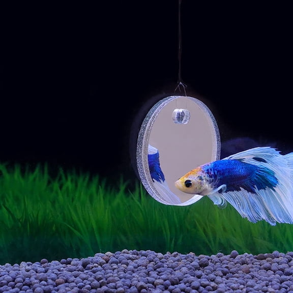 PAMINGONO 2Sets Double Side Betta Fish Tank Mirror Acrylic Floating Fish Tank Decoration for Betta Training