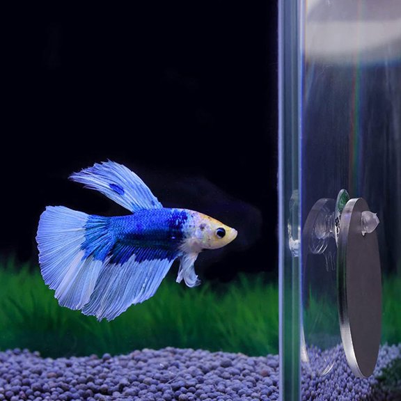 PAMINGONO 2Sets Fish Training Mirror Transparent for Aquarium Use Fish Tank Reflection Decor