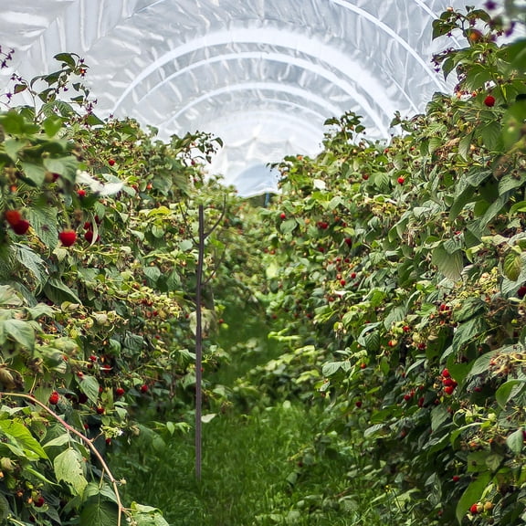 PAMINGONO Tree Branch Plants Trellis Plastic Plant Trellis Light Brown 5 Sets