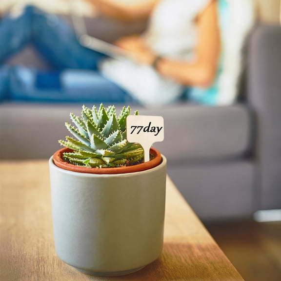 PAMINGONO Beige Wooden Plant Tags Smooth Surface for Easy Identification