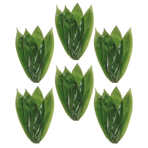 PAMINGONO Bamboo Leaves for Cooking Dark Decoration 50Pcs