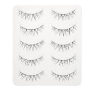 PAMINGONO 3D Dense Black Natural Fiber False Eyelashes Transparent Stem 5 Pairs