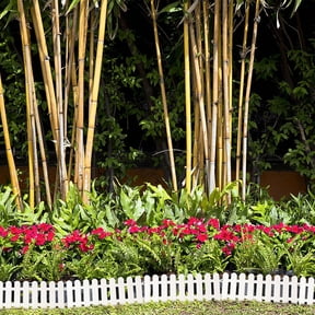 PAMINGONO White Plastic Landscape Border, Easy Install, Natural Look, 6Pcs