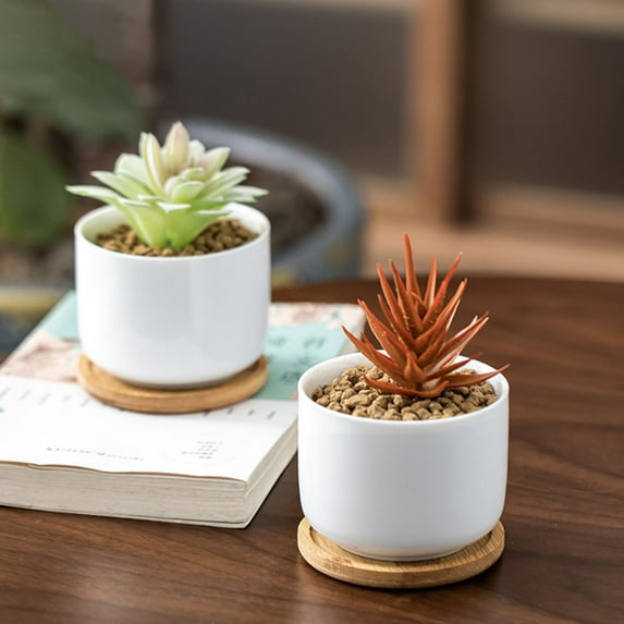 PAMINGONO 6Pcs Simple Bamboo Drip Trays for Flower Pots 9in Inner Diameter