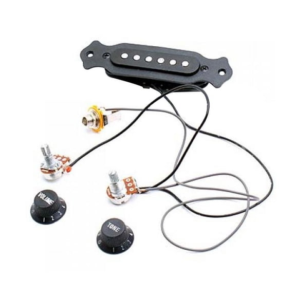 PAMINGONO Acoustic Guitar Amplifiers 1Set with Feedback Resistant and Performance for Musicians and Performers