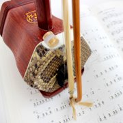 PAMINGONO Erhu Tuning Tool with Floating Adjustable Design, Golden Musical Instrument Accessory for Accurate and Easy Tuning