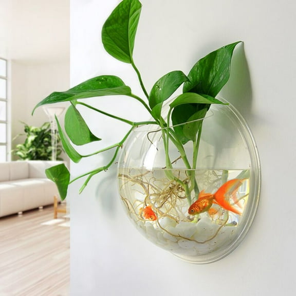 PAMINGONO Wall Mounted Transparent Fish Aquarium Tank Made with Solid Acrylic Material