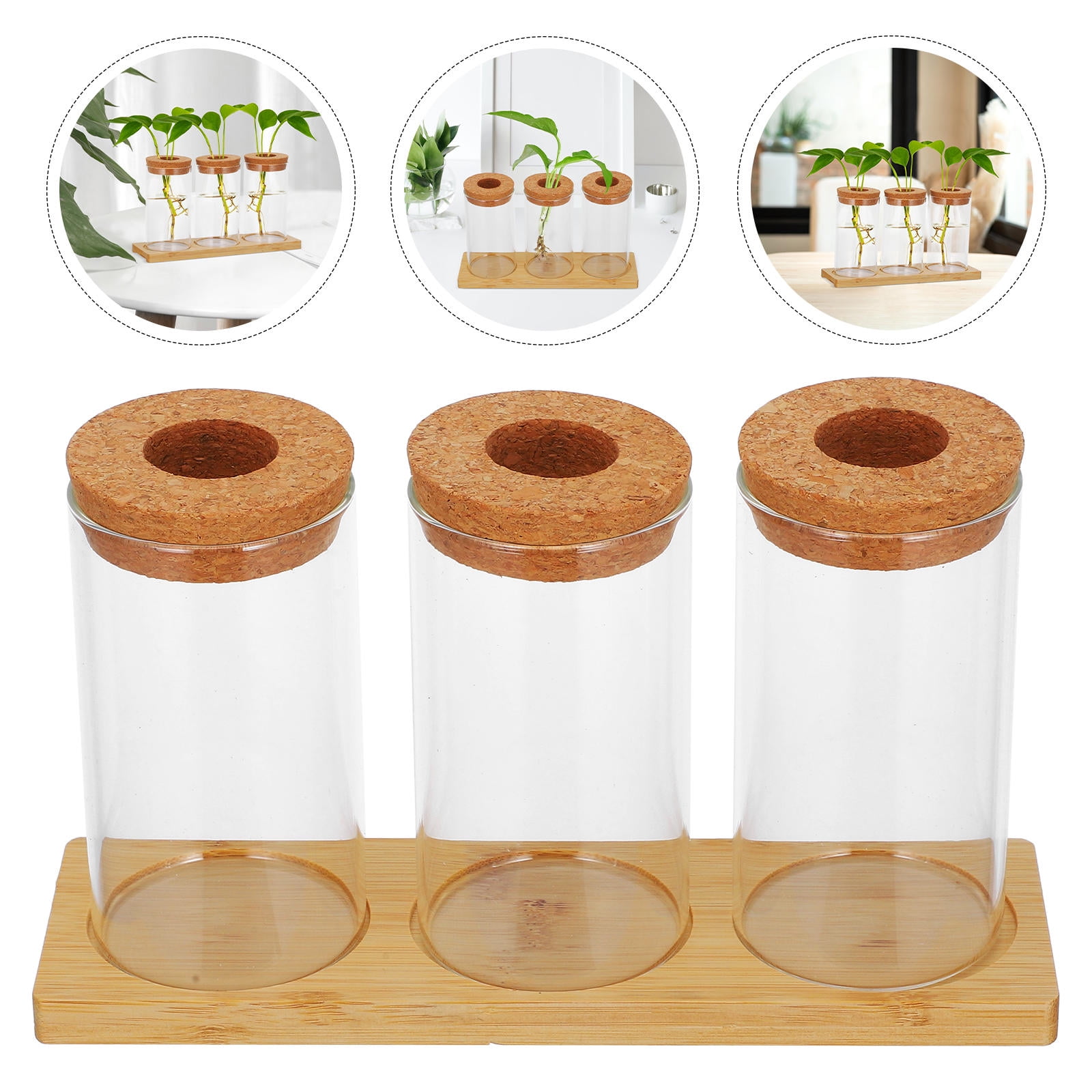 Kitchen Terrarium PAMINGONO Glass Terrarium Kit with Wooden Tray, Three Bottles for ...