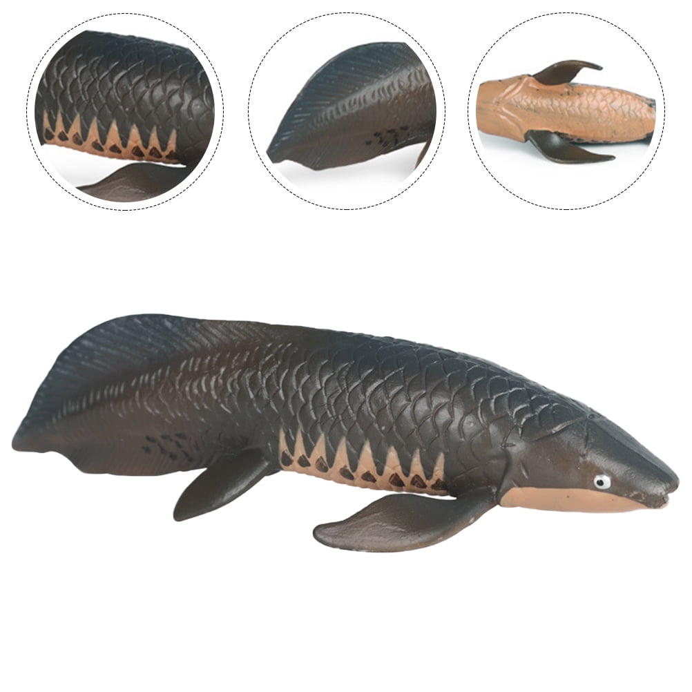 PAMINGONO Plastic Fish Model Model Marine Animal Models for Educators ...