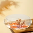 PAMINGONO Round Glass Fish Bowl with High Transparency for Hydroponic ...