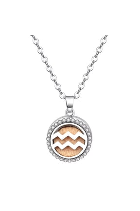 Men's Women's Stainless Steel Creative Round Essential Oil Diffuser Pendant 12 Constellations Necklace Horoscope Jewelry Aquarius