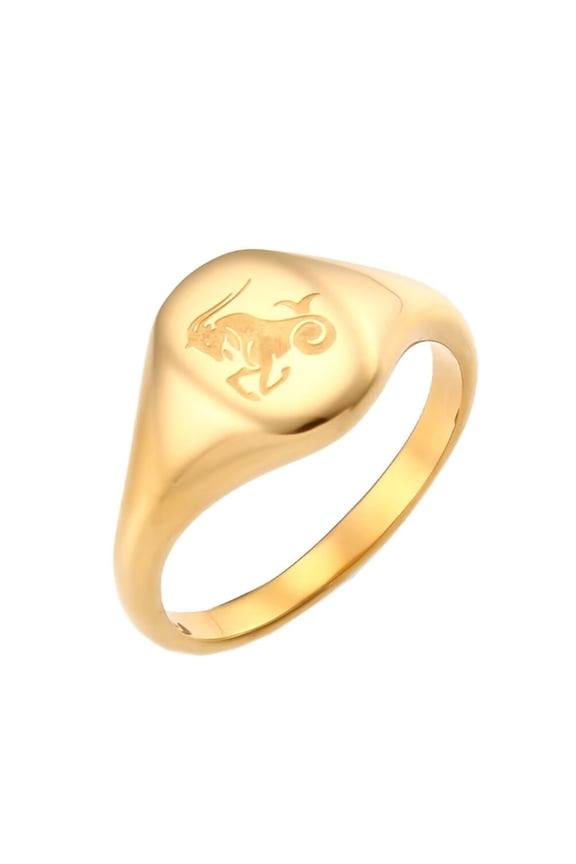Men's Women's Stainless Steel Personalized Engraved 12 Constellations Horoscope Zodiac Signs RingGold Capricorn Size 8