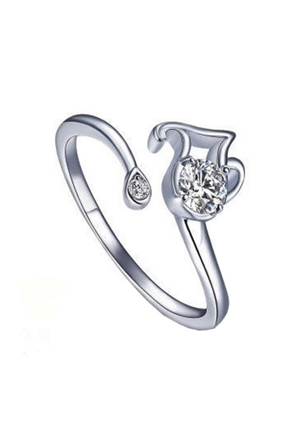 Women's Stainless Steel Round Cubic Zirconia Simple 12 Constellations Adjustable Wrap Open Ring Silver Aquarius