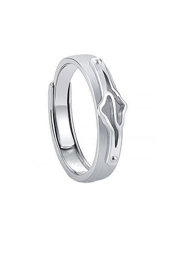 Women's Stainless Steel Simple High Polished 12 Constellations Adjustable Wrap Ring Silver Pisces