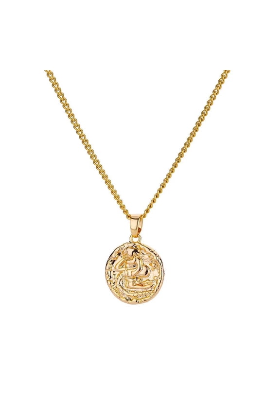 Women's Stainless Steel Vintage 12 Constellations Zodiac Signs Round Coin Embossed Pendant Necklace Aquarius