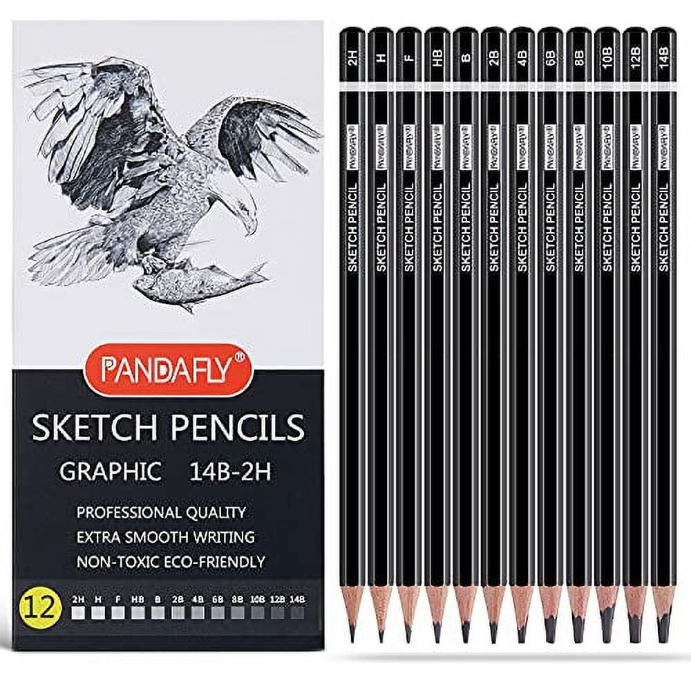 PANDAFLY 60 Pack Drawing Sketching Pencil Set, Pro Art Sketch Supplies with  3-Color Sketchbook, Graphite, Charcoal Pencil, Ideal for Shading