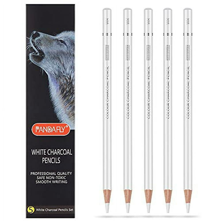 PANDAFLY White Charcoal Pencils Drawing Set, Professional 5 Pieces Sketch  Highlight White Pencils for Drawing, Sketching, Shading, Blending, White