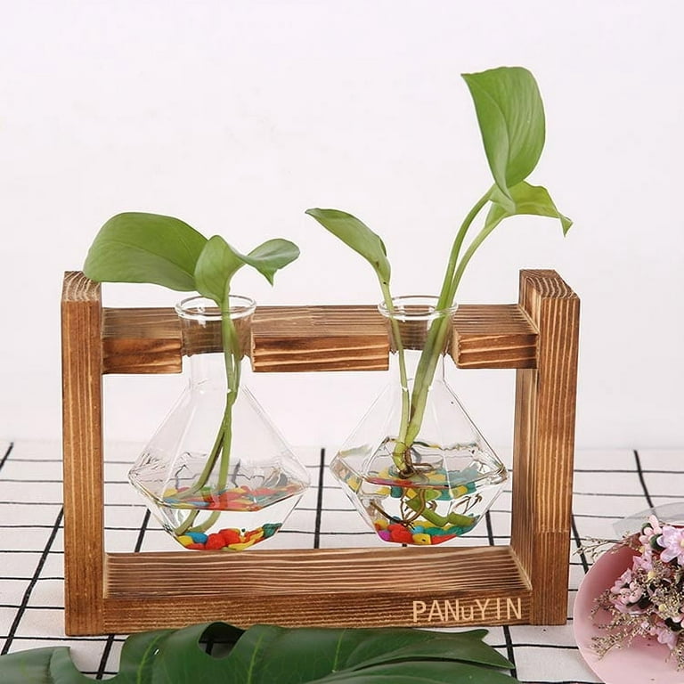 Glass and Wood Vase Planter Terrarium Table Desktop Hydroponics