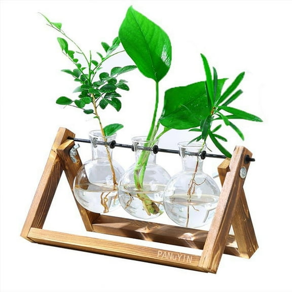 PANuYIN Modern Triple Balls Desk Vase | Hydroponics Plant Glass | Terrarium Vase Container | Planter Pot with Wooden Stand