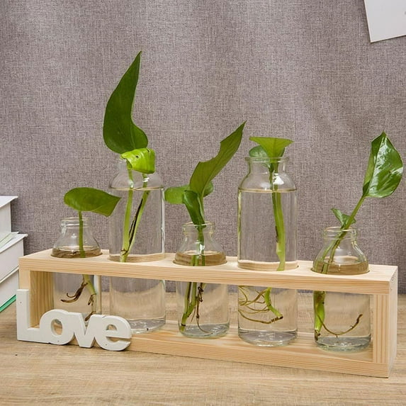 PANuYIN Plant Terrarium Glass 5 Bottles with Wooden Stand Desktop Planter Vase Decoration - Love Style