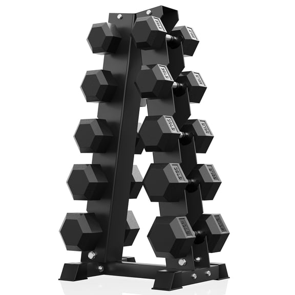 ROALW 300 LB Hex Dumbbell Set with Rack (20-40 LB Pairs), Home Gym