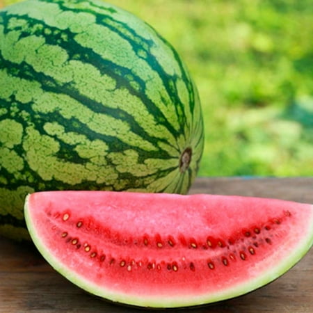 PAPAW'S GARDEN SUPPLY LLC. HELPING THE NEXT GENERATION GROW! Crimson Sweet Watermelon 20 Seeds