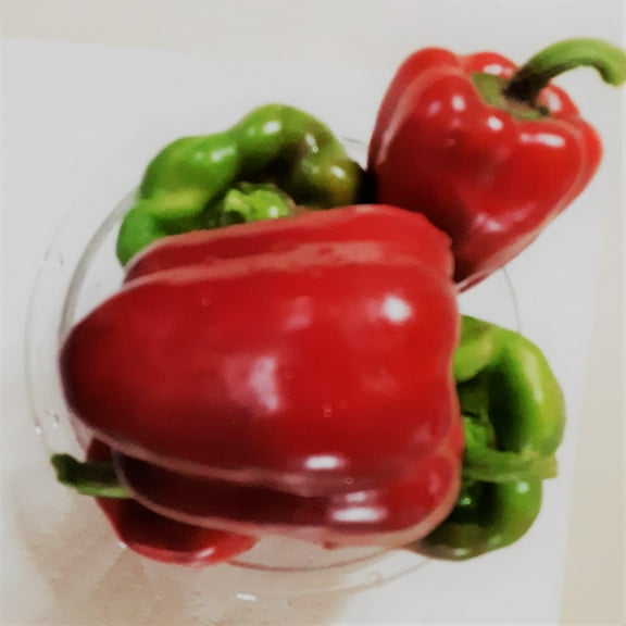 PAPAW'S GARDEN SUPPLY LLC. HELPING THE NEXT GENERATION GROW! Jupiter Sweet Bell Pepper 25 Seeds