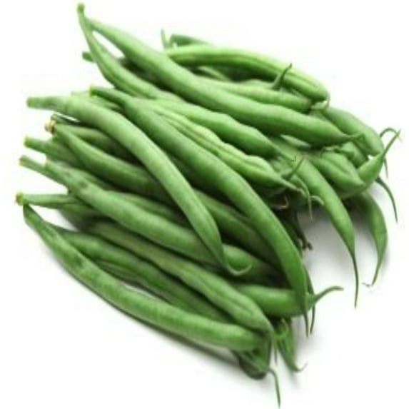 PAPAW'S GARDEN SUPPLY LLC. HELPING THE NEXT GENERATION GROW! Strike Bush Green Bean Treated 400 Seeds