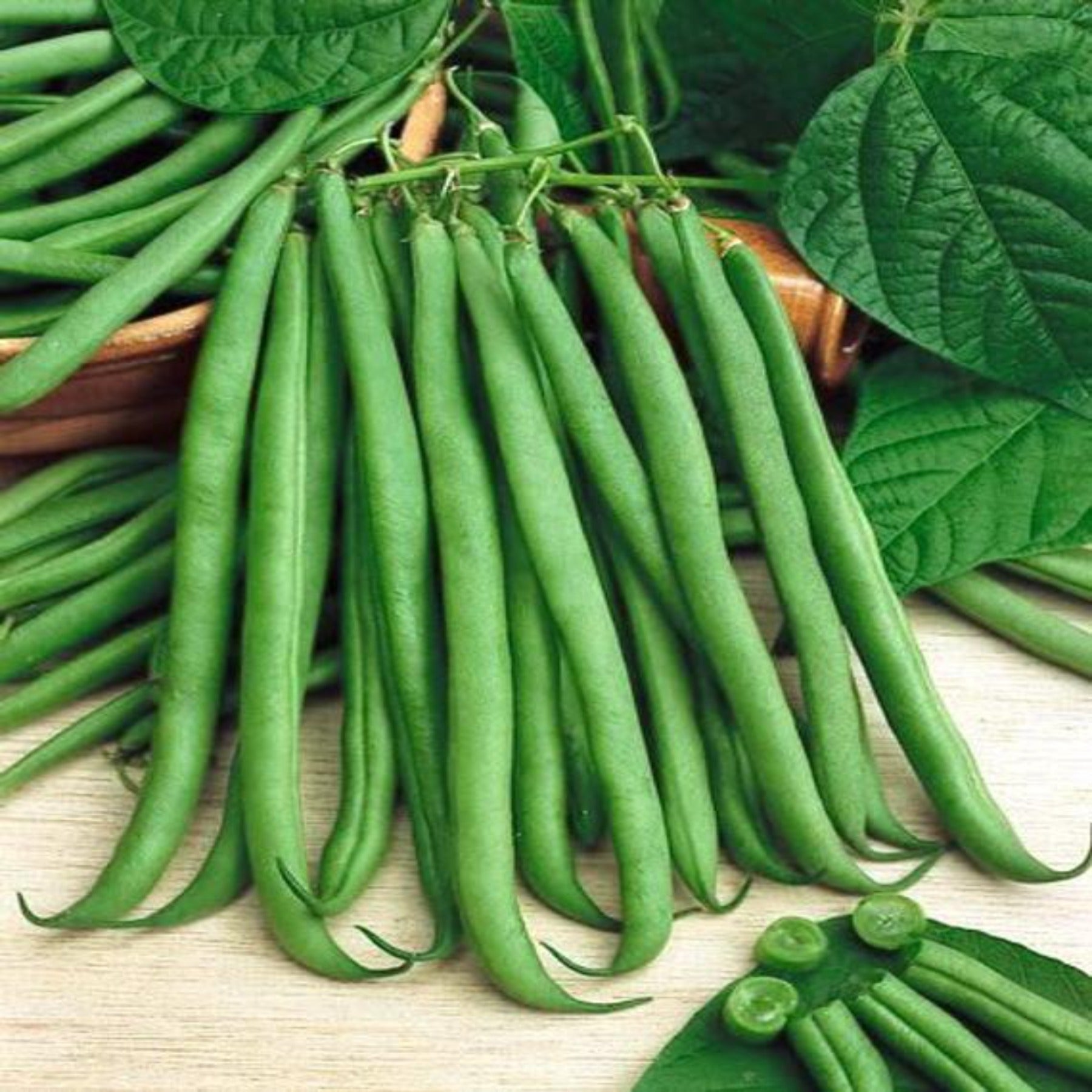 Grad Beans PAPAW'S GARDEN SUPPLY LLC. HELPING THE NEXT GENERATION GROW! Top Crop ...