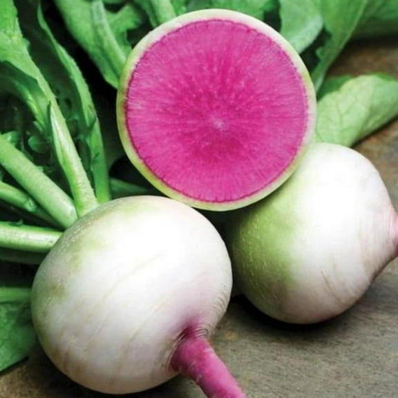 PAPAW'S GARDEN SUPPLY LLC. HELPING THE NEXT GENERATION GROW! Watermelon (Winter) Radish 300 Seeds
