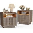 thumbnail image 1 of PAPROOS 22.8'' Fluted Nightstand Set of 2, Large 2 Drawers Bedside Table with Charging Station and LED Light, Curved Corner Design Storage Night Stand End Table for Bedroom, Living Room, Brown Gray, 1 of 7