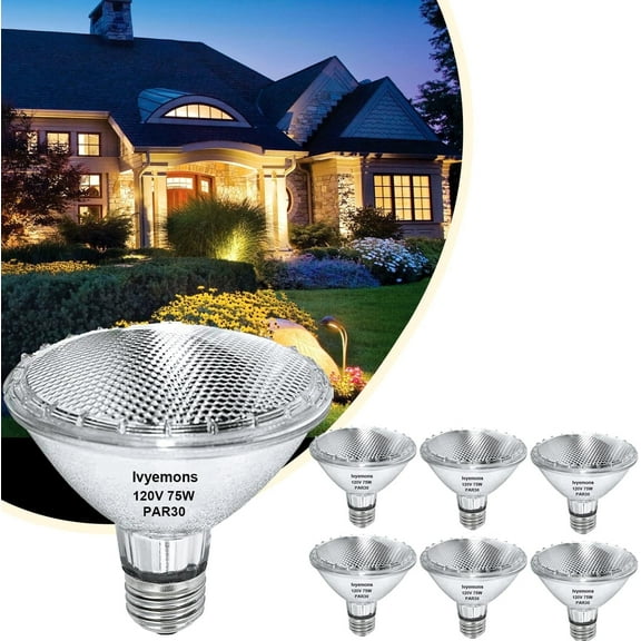6 Pack Lvyemons PAR30 Short Neck 75W Halogen Flood Light Bulbs E26 Dimmable 2800K Warm White for Recessed/Accent/Tracking Lighting