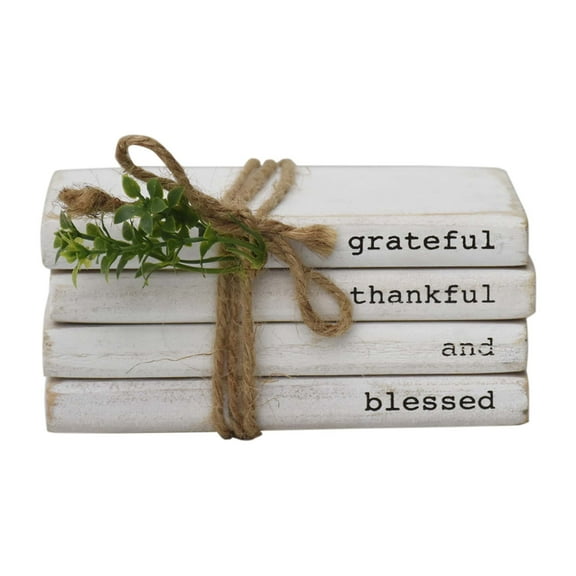 PARISLOFT Grateful Rustic/Lodge White Wood Decorative, Set of 3