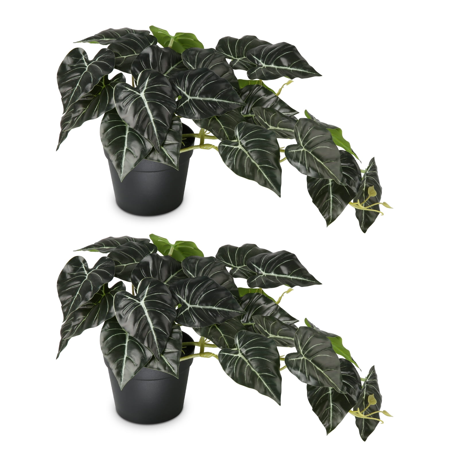 PARMPH 2 Packs Artificial Desk Plants, 17.71'' Faux Arrowroot Leaves