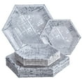 thumbnail image 1 of PARTY DISPOSABLE 36 PC DINNERWARE SET | 18 Dinner Plates | 18 Side Plates | Heavyweight Paper Plates | Hexagon Design | for Upscale Wedding and Dining (Arctic Collection – Silver), 1 of 5